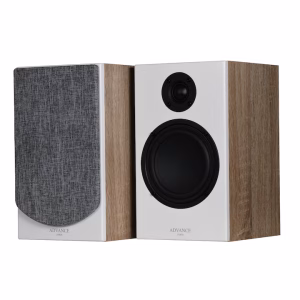 ADVANCE PARIS KC 100 LOUDSPEAKER